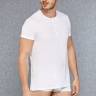 Классическая мужская футболка с горловиной на пуговках Doreanse Premium